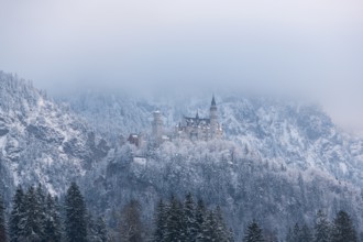 A castle towers over a dense, snow-covered forest in a mystical winter landscape, Neuschwanstein,