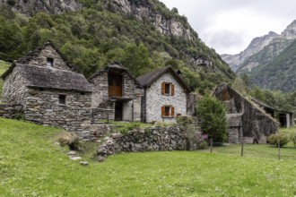 Typical Ticino stone houses in the village of Sonogno, Verzasca Valley, Valle Verzasca, Canton