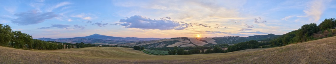 Typical Tuscan landscape in Val d'Orcia with hills, trees, fields, cypresses and farm road in