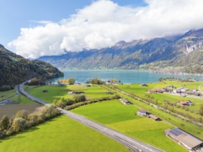 Painted meadow landscape by the lake with mountains in the background, Lake Brienz, Switzerland,