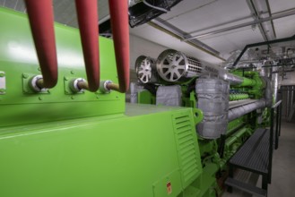 Biogas plant, gas-powered engine for electricity production, generator, in combined heat and power