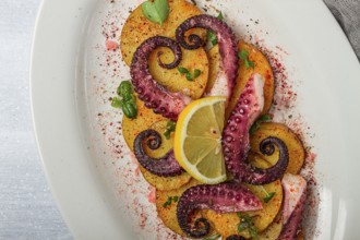 Octopus with potatoes and spices, on a light plate, top view, no people, homemade, close-up