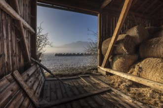 Barn, hut, hay bales, interior shot, morning light, fog, winter, mountains, Loisach-Lake Kochel