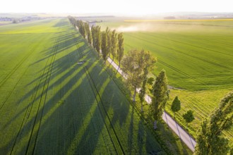 Aerial view of an avenue with evening sun, Kesseldorf, Wilsdruff, Saxony, Germany, Europe