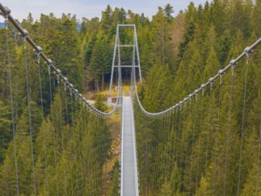 Long suspension bridge stretches over a green forest from the perspective of a walker, Wildline