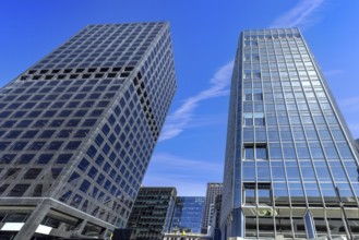 Panoramic skyline of Wellington downtown financial center, New Zealand.