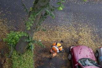 Street cleaning, an employee of the municipal city cleaning service, cleans pavements and parking