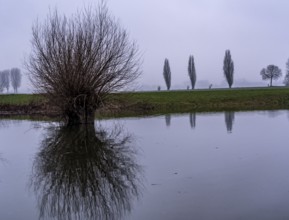 High water on the Rhine at Düsseldorf-Kaiserswerth, foggy weather, riverside paths and Rhine