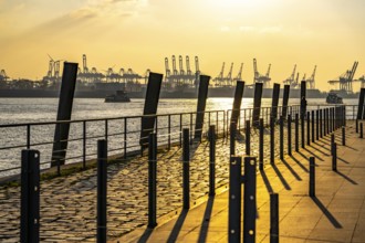 Port of Hamburg, view of the Container Terminal Burchardkai, from Altonaer Ufer, Hamburg, Germany,