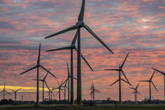 Wind farm near the East Frisian town of Norden, east of the town, sunset, Lower Saxony, Germany,
