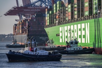Container ship Ever Gifted, arriving at the port of Hamburg, Waltershofer Hafen, HHLA Container