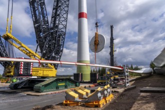Erection of a wind turbine, wind energy plant, assembly of the ring generator, with a crawler