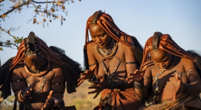 Traditional Himba woman clapping, music and dance, portraits, in the evening light, near Opuwo,
