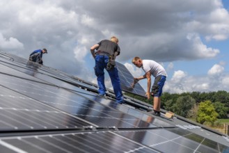 Installation of solar modules on the roof of a barn on a farm, over 210 photovoltaic modules are