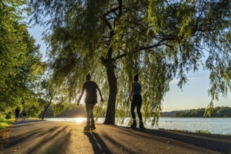 Inline skaters on Lake Baldeney, around 14 kilometres around the Ruhr reservoir, summer evening on