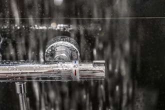 Shower, fitting, temperature control, temperature control of the shower water