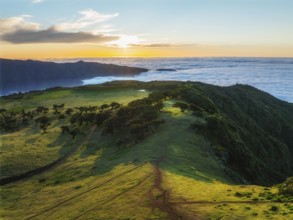 Aerial view of idyllic scenic Fanal Laurisilva forest with centuries-old til trees above clouds on