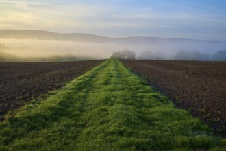 A long grassy path leads through a field surrounded by mist and rolling hills, Schmachtenberg,