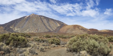 El Teide National Park, behind it the Pico del Teide, 3715m, World Heritage Site, Tenerife, Canary