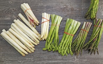 Green asparagus and white asparagus decorated on a rustic wooden table