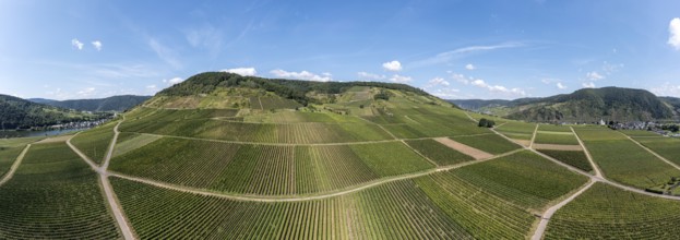 Panoramic aerial view of the vineyards of Ellenz-Poltersdorf at the Moselle river, Germany, Europe