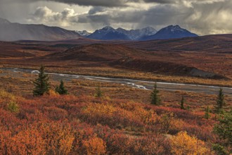 Stormy atmosphere and clouds over the autumnal Alaska Range, Denali National Park, Alaska, USA,