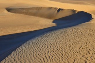 Gently curving sand dune with deep shadows in a vast, tranquil desert landscape, Matruh, Great Sand