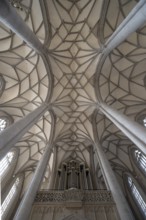 Vaults and organ loft of the late Gothic church of St George, built between 1427 and 1505, church,