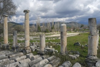 Excavation site site of the ancient city of Aphrodisias, today's city of Geyre, Karacasu, Aydin,