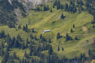 Obere Lugen Alpe in the Oytal valley below the Hahnenköpfl, Allgäu Alps, Allgäu, Bavaria, Germany,