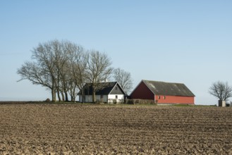 Small farm in springtime in Ystad Municipality, Skåne County, Sweden, Scandinavia, Europe