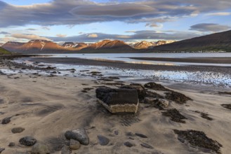 Fjord, low tide, stones, mountains, evening light, cloudy mood, Thingeyri, Westfjords, Iceland,