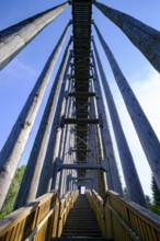 Sky ladder on the Schremser Hochmoor, municipality of Schrems, Waldviertel, Lower Austria, Austria,