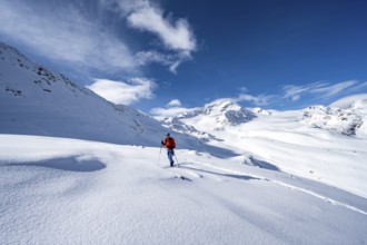 Ski tourers in a snow-covered mountain landscape, mountain peak Monte Cevedale and glacier