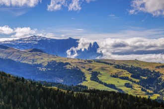 The Alpe di Siusi with green meadows and cloudy mountains in the background, South Tyrol, Italy,