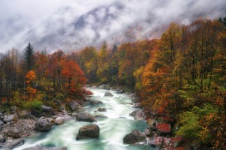 Verzasca river lined with autumn-coloured deciduous trees, rainy and foggy Verzasca valley, Canton
