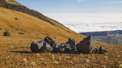 Huevos del Teide, Teide eggs, lava balls, Montana Blanca, Pico del Teide, 3718m, Parque Nacional de