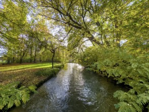 Autumn atmosphere in the English Garden, Schwabinger Bach, Munich, Bavaria, Germany, Europe