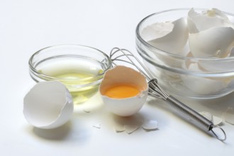 Opened hen's egg, egg white in shell and eggshells