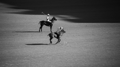 Scene from the 131st Argentine Open Polo Championship (Spanish: Campeonato Argentino Abierto de