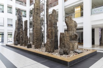 Exhibition Steinerer Wald in the foyer of the cultural department stores' DAStietz, Chemnitz,