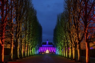 It's the most beautiful time of the year when the sparkling evening trail finally lights up