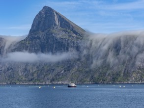 Salmon farm, aquaculture in the Mefjord on Senja island, in the background the peak of famous Segla