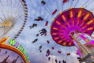 Chain carousel and Ferris wheel in the evening. 177th Cannstatter Volksfest at the Cannstatter
