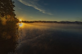Autumnal morning atmosphere at Schmutter Weiher with fog near Lechbruck, Halblech and Roßhaupten in