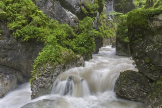 The river Weißbach running through the Seisenbergklamm, Seisenbachklamm, gorge near Weißbach bei