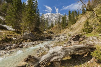 Enger-Grund creek, Eng valley, Austria, Europe