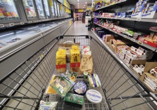 Shopping trolley being pushed through an aisle, supermarket, Germany, Europe
