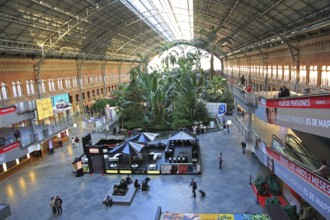 Tropical rainforest plants growing in garden inside Atocha railway station, Madrid, Spain, Europe