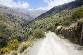 Landscape of the River Rio Poqueira gorge valley, High Alpujarras, Sierra Nevada, Granada Province,